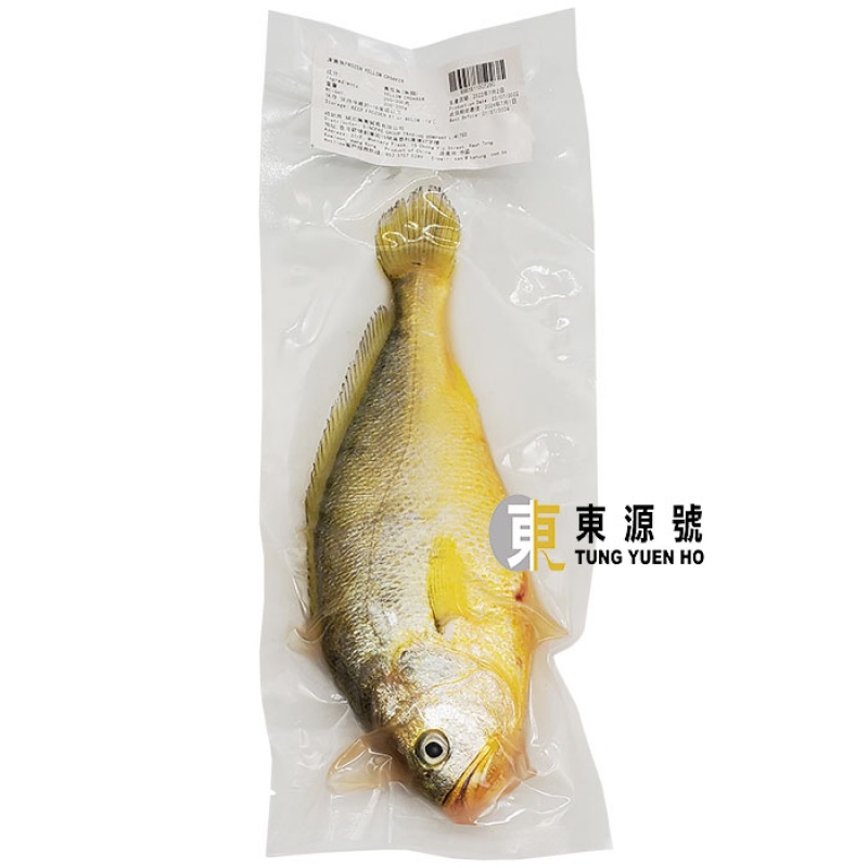 原條急凍黃花魚(250g-300g)